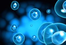 PhD Cell & Molecular Biology Research Associate Post @ JNU