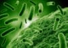 Call for Proposals : Indo-Norwegian Co-operation on Antimicrobial resistance, ICMR
