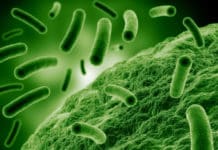 Call for Proposals : Indo-Norwegian Co-operation on Antimicrobial resistance, ICMR