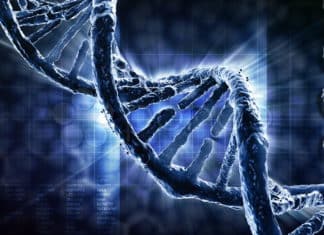 Exclusive MSc Life Sciences Freshers Job @ PGIMER