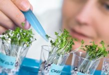 Biological Sciences Candidates Work as JRF @ Manipur University MSc Project Fellow Post @ ICAR-Sugarcane Breeding Institute