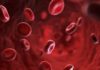 Call for Proposals on Hemophilia by DBT | Apply Now