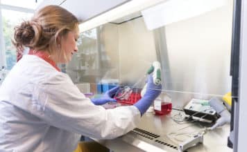 Senior Food Auditor / Food Sector Development Post Vacant @ DNV.GL