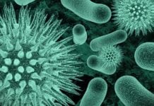 MSc Biotech & Life Sciences Research Assistant Post @ AIIMS, New Delhi MSc Biotech & Life Sciences Research Assistant Post @ AIIMS