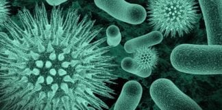 MSc Biotech & Life Sciences Research Assistant Post @ AIIMS