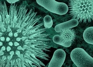 MSc Biotech & Life Sciences Research Assistant Post @ AIIMS