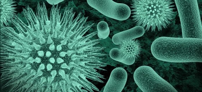 MSc Biotech & Life Sciences Research Assistant Post @ AIIMS