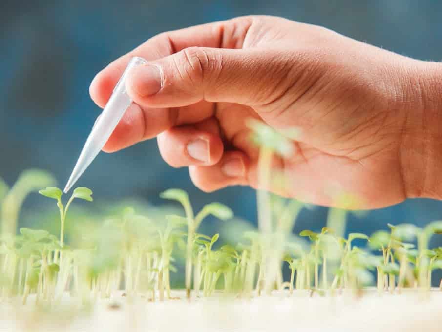 biotechnology companies in india pdf