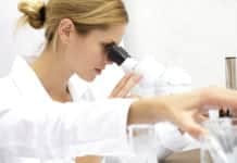 Six Months Project Internship/Training Programme Opportunity @ NIAB Six Months Project Internship/Training Programme Opportunity @ NIAB