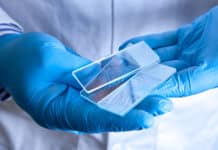 MSc Biotech Job @ KIITS – Kerala Institute of Tourism and Travel Studies MSc Biotech Job @ KIITS