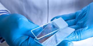 MSc Biotech Job @ KIITS