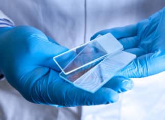 MSc Biotech Job @ KIITS