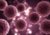 Breast Cancer’s Methionine Dependency, Offers Potential Treatment Ways