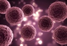 Study Explores Breast Cancer’s Methionine-Dependency, Offers Potential Treatment Strategies Breast Cancer’s Methionine Dependency, Offers Potential Treatment Ways