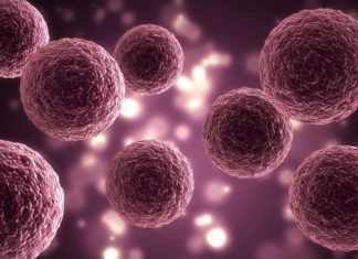 Study Explores Breast Cancer’s Methionine-Dependency, Offers Potential Treatment Strategies Breast Cancer’s Methionine Dependency, Offers Potential Treatment Ways