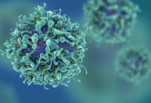 JRF Vacancy @NCNSNT, University of Madras | M.sc / M.tech Final Year Candidates Can Also Apply