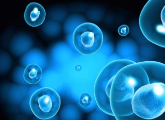 Freshers PhD Biosciences Scientist Post Vacant @ Thermo Fisher