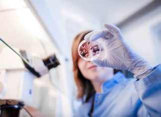Project Assistant Post Vacancy @ National Institute of Oceanography