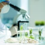 MSc Botany Junior Research Fellow Post