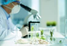 Biological Sciences Candidates Apply for RS/JRF Positions @ ICGEB MSc Botany Junior Research Fellow Post