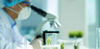 MSc Botany Junior Research Fellow Post