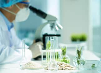 MSc Botany Junior Research Fellow Post