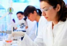 JRF Vacancy in Dept of Biotechnology @ Jaypee Institute of Information Technology (JIIT), Noida