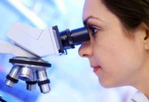 Project-JRF Position for Biological Sciences Candidates @ IISER Bhopal MSc Biotech Job @ KIITS