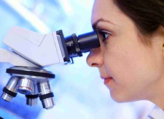 MSc Biotech Job @ KIITS