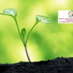 Govt Job @ Ministry of Agriculture & Farmers Welfare | Earn Rs 50,000/- pm as R&D Consultant & Tech Assistant