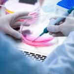 SERB Project Post for MSc Candidates @ M S University of Baroda