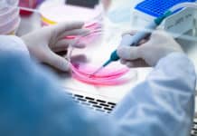 JRF / RA Position in Stem Cell & Neuroscience | Apply Now SERB Project Post for MSc Candidates @ M S University of Baroda