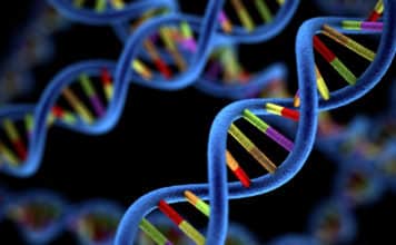 Pursue Doctoral Research Leading to PhD in Biomedical Genomics @ NIBMG Jr. Project Fellow Positions for MSc Candidates @ Nagaland University