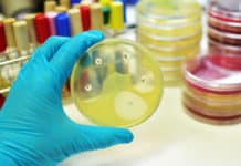 Researchers Develop Synthetic Polymer Capable of Vanquishing Superbugs