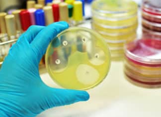 Researchers Develop Synthetic Polymer Capable of Vanquishing Superbugs