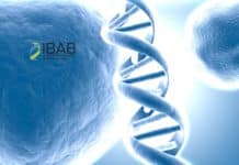 Applications Invited For Project Assistant Post in Synthetic Biology Group @ IBAB