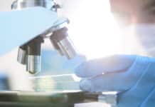 DBT Call’s for Letter of Intent (LoI) in the area of “Repurposing of Drugs for Infectious Diseases” MSc & MTech Biotechnology Job Opening @ ICAR-NRCM