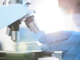 MSc & MTech Biotechnology Job Opening @ ICAR-NRCM