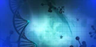 MSc Biotech/Life Sciences & Microbiology