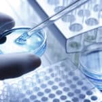 Hands on Workshop on Molecular Biology Techniques & Stem Cells in Human Health & Diseases