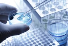 Hands on Workshop on Molecular Biology Techniques & Stem Cells in Human Health & Diseases