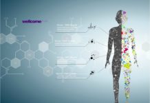 Apply for Wellcome Trust – Seed Awards in Science – 2017 | Funding of £100,000 Available