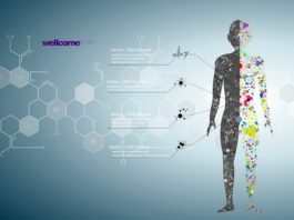 Apply for Wellcome Trust – Seed Awards in Science – 2017 | Funding of £100,000 Available