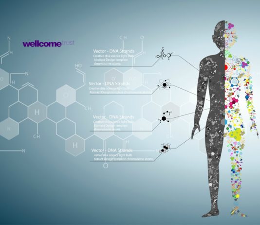 Apply for Wellcome Trust – Seed Awards in Science – 2017 | Funding of £100,000 Available