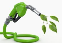 A Novel Plausible Way To Harness Sustainable Biofuel