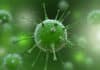 Hybrid Viruses To Push Superbugs Off The Edge