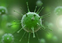 Hybrid Viruses To Push Superbugs Off The Edge