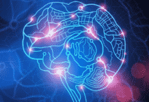 Power of Human Brain Finally Unleashed ! It can Create Structures in 11 Dimensions