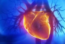 Artificial Organs – Now a Near Possibility