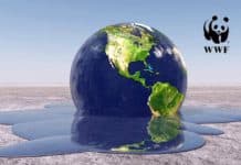 WWF-India Hiring Life Science Candidates For Programme Officer – Climate Change & Energy Post